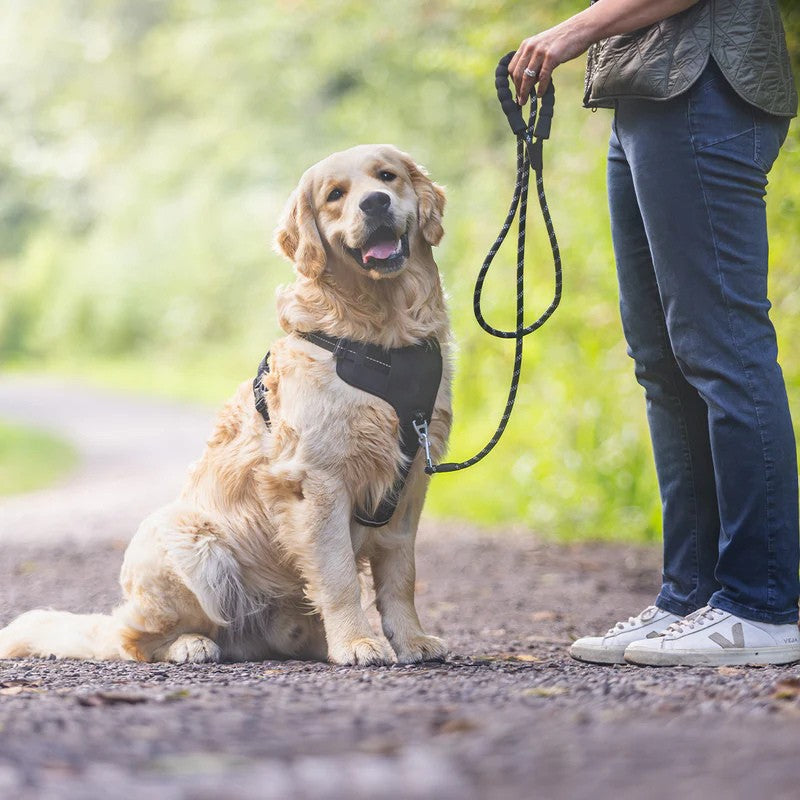 Comfortable Hands. Confident Walks.