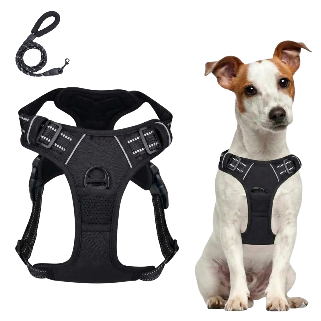 The Bobbie Harness® — The Front-Clip Harness That Stops Pulling From Walk One