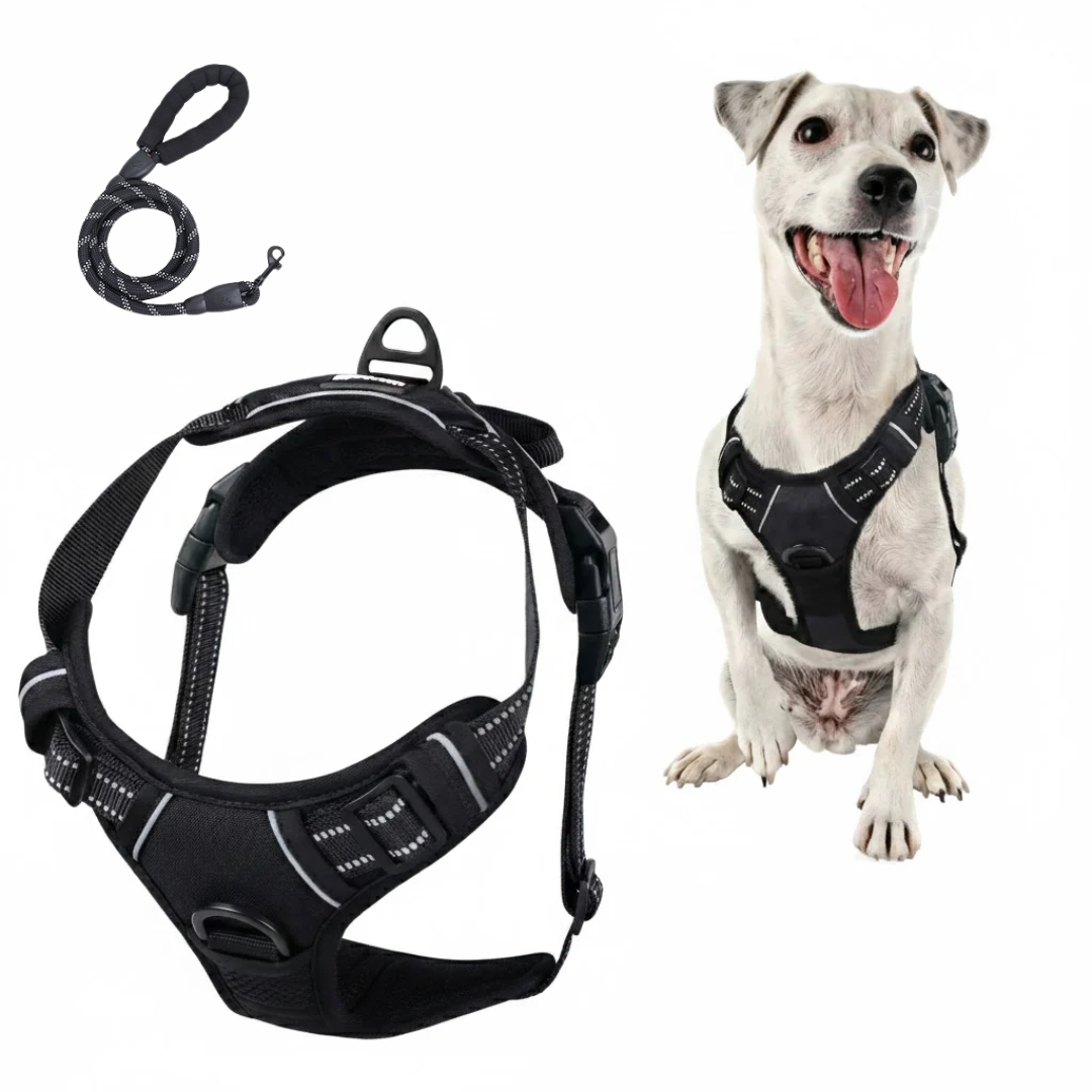 The Bobbie Harness® — The Front-Clip Harness That Stops Pulling From Walk One