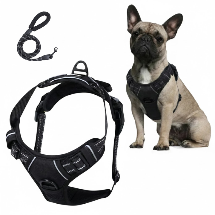 The Bobbie Harness® — The Front-Clip Harness That Stops Pulling From Walk One