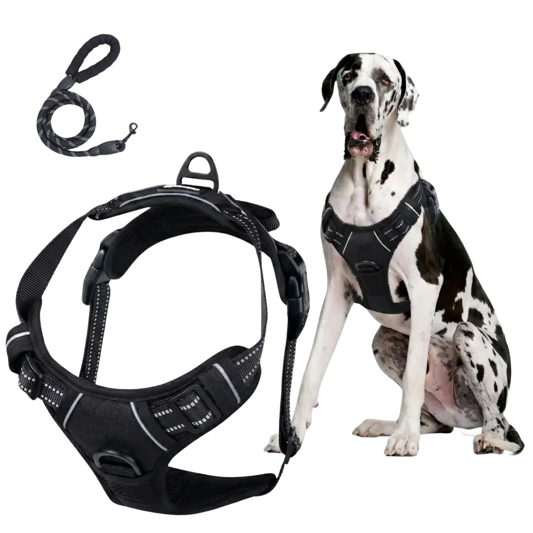 The Bobbie Harness® — The Front-Clip Harness That Stops Pulling From Walk One