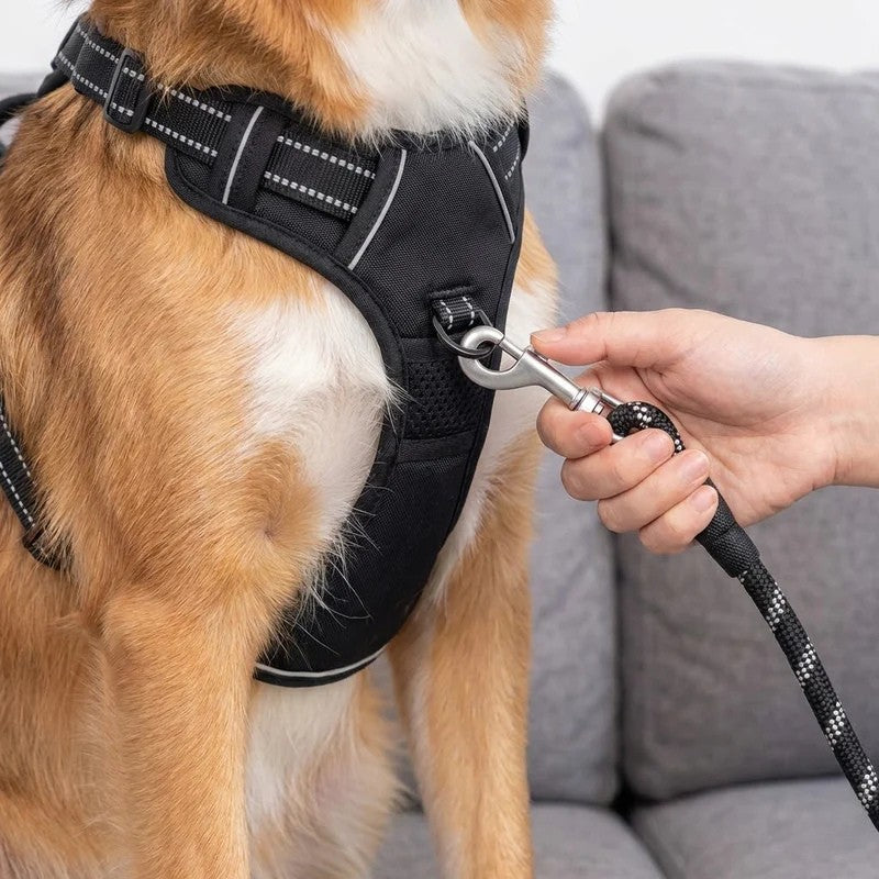 What Makes The Bobbie Harness Different