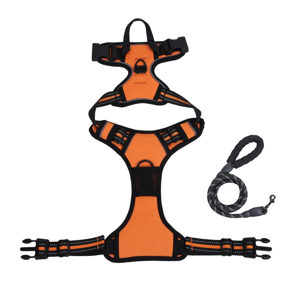 The Bobbie Harness® — The Front-Clip Harness That Stops Pulling From Walk One