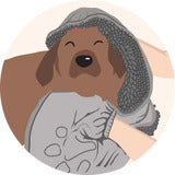 Step 2: Dry From Head to Tail